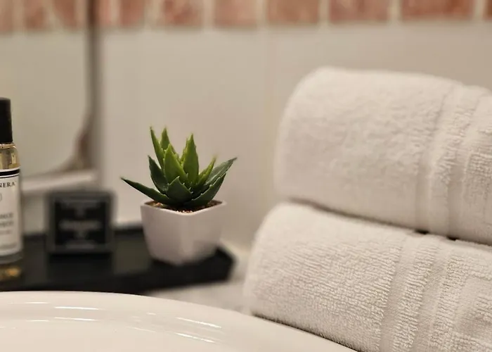 아파트 Beau T3 - Vue & Piscine - A Funtana